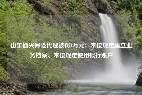 山东通兴保险代理被罚1万元：未按规定建立业务档案、未按规定使用银行账户