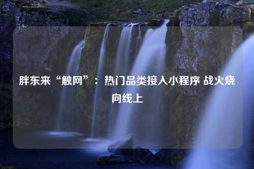 胖东来“触网”：热门品类接入小程序 战火烧向线上