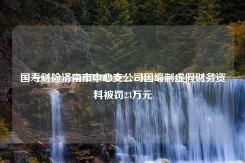 国寿财险济南市中心支公司因编制虚假财务资料被罚23万元