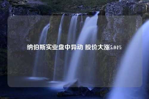 纳伯斯实业盘中异动 股价大涨5.04%