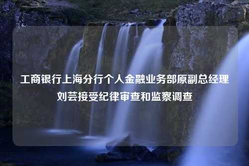 工商银行上海分行个人金融业务部原副总经理刘芸接受纪律审查和监察调查