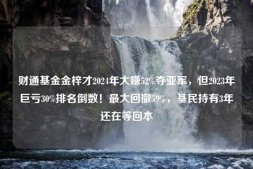 财通基金金梓才2024年大赚52%夺亚军，但2023年巨亏30%排名倒数！最大回撤59%，基民持有3年还在等回本