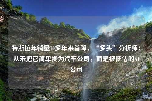 特斯拉年销量10多年来首降，“多头”分析师：从未把它简单视为汽车公司，而是被低估的AI公司