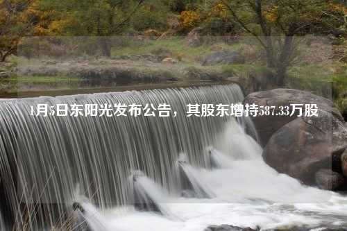 1月5日东阳光发布公告，其股东增持587.33万股