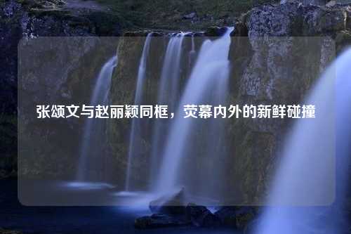 张颂文与赵丽颖同框，荧幕内外的新鲜碰撞