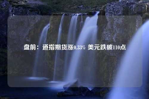 盘前：道指期货涨0.33% 美元跌破110点