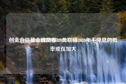 创金合信基金魏凤春：美联储2025年不降息的概率或在加大