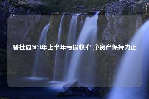 碧桂园2024年上半年亏损收窄 净资产保持为正