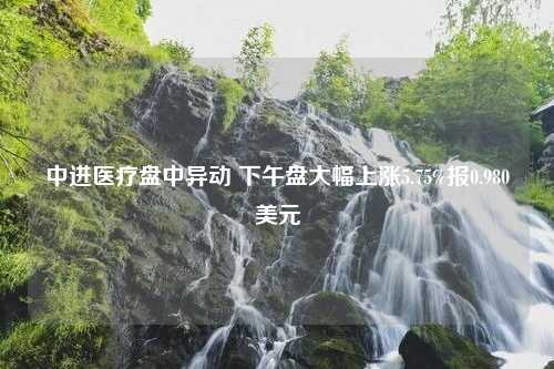 中进医疗盘中异动 下午盘大幅上涨5.75%报0.980美元