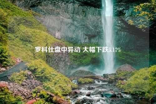 罗科仕盘中异动 大幅下跌5.17%