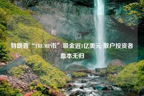 特朗普“TRUMP币”吸金近1亿美元 散户投资者血本无归