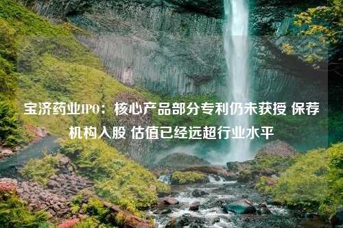 宝济药业IPO：核心产品部分专利仍未获授 保荐机构入股 估值已经远超行业水平