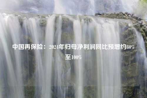 中国再保险：2024年归母净利润同比预增约80%至100%