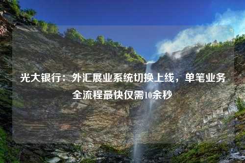 光大银行：外汇展业系统切换上线，单笔业务全流程最快仅需10余秒