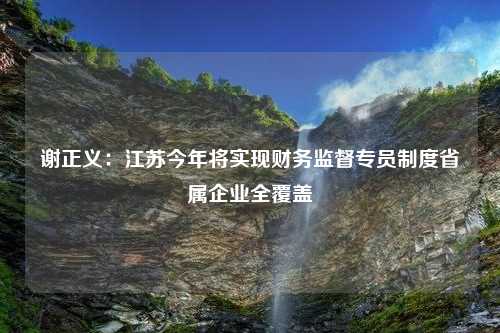 谢正义：江苏今年将实现财务监督专员制度省属企业全覆盖