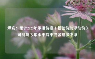 煤炭：预计2025年承接价格（基础价加浮动价）可能与今年水平持平或者略微下浮