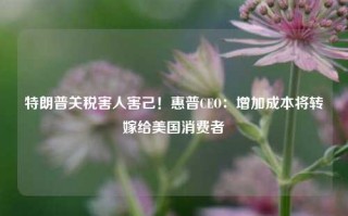 特朗普关税害人害己！惠普CEO：增加成本将转嫁给美国消费者