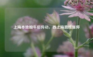 上海本地股午后异动，西上海直线涨停