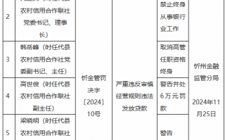 代县农村信用合作联社违法发放贷款：时任理事长被禁业终身 时任主任被取消高管任职资格终身