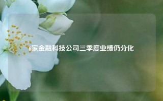 6家金融科技公司三季度业绩仍分化