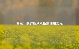 普京：俄罗斯从未拒绝使用美元