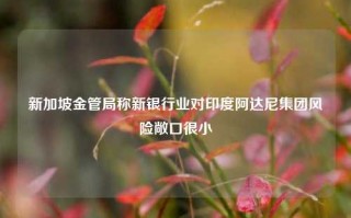 新加坡金管局称新银行业对印度阿达尼集团风险敞口很小