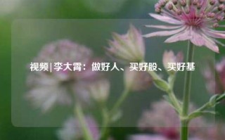 视频|李大霄：做好人、买好股、买好基