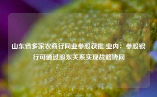 山东省多家农商行同业参股获批 业内：参股银行可通过股东关系实现战略协同