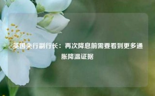 英国央行副行长：再次降息前需要看到更多通胀降温证据