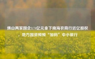 佛山两家国企3.74亿元拿下南海农商行近亿股权，地方国资频频“加码”中小银行