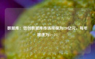 数据库：信创数据库市场规模为120亿元，每年增速为3~5%