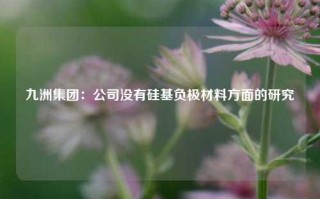 九洲集团：公司没有硅基负极材料方面的研究