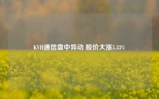 KVH通信盘中异动 股价大涨5.33%