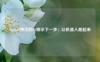 OpenAI押注的1X明示下一步：让机器人跑起来