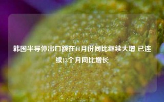 韩国半导体出口额在11月份同比继续大增 已连续13个月同比增长