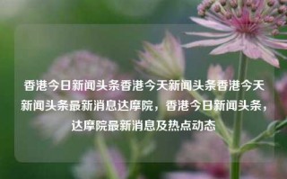 香港今日新闻头条香港今天新闻头条香港今天新闻头条最新消息达摩院，香港今日新闻头条，达摩院最新消息及热点动态，香港达摩院最新消息与热点动态，今日新闻头条