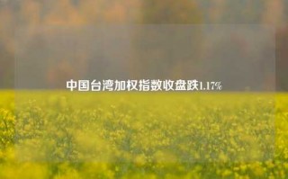 中国台湾加权指数收盘跌1.17%