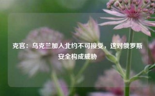 克宫：乌克兰加入北约不可接受，这对俄罗斯安全构成威胁