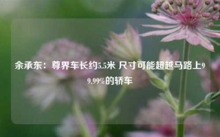 余承东：尊界车长约5.5米 尺寸可能超越马路上99.99%的轿车