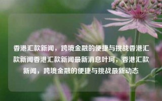 香港汇款新闻，跨境金融的便捷与挑战香港汇款新闻香港汇款新闻最新消息叶珂，香港汇款新闻，跨境金融的便捷与挑战最新动态，香港跨境金融汇款，便捷与挑战并存的新闻动态