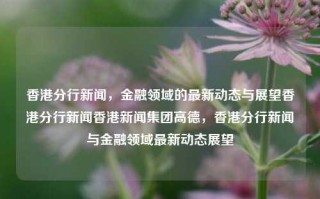 香港分行新闻，金融领域的最新动态与展望香港分行新闻香港新闻集团高德，香港分行新闻与金融领域最新动态展望，香港分行新闻与金融领域最新动态展望