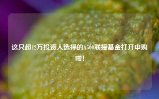 这只超12万投资人选择的A500联接基金打开申购啦！