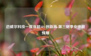 迈威尔科技一度涨超18%创新高 第三财季业绩超预期