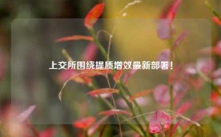 上交所围绕提质增效最新部署！