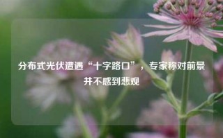 分布式光伏遭遇“十字路口”，专家称对前景并不感到悲观