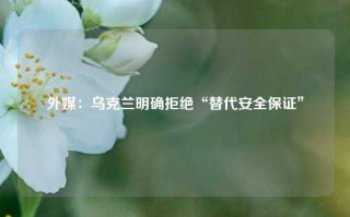 外媒：乌克兰明确拒绝“替代安全保证”