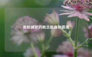 美股减肥药概念股盘初普涨