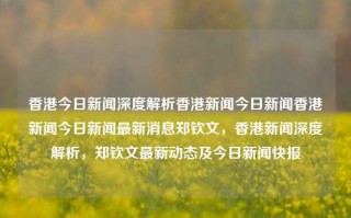 香港今日新闻深度解析香港新闻今日新闻香港新闻今日新闻最新消息郑钦文，香港新闻深度解析，郑钦文最新动态及今日新闻快报，香港新闻深度解析，郑钦文最新动态与今日新闻快报