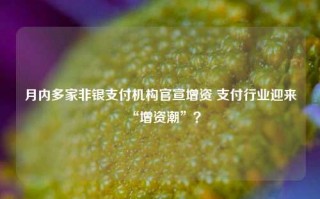 月内多家非银支付机构官宣增资 支付行业迎来“增资潮”？