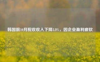 韩国前10月税收收入下降3.8%，因企业盈利疲软